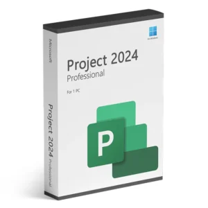 Project professional 2024